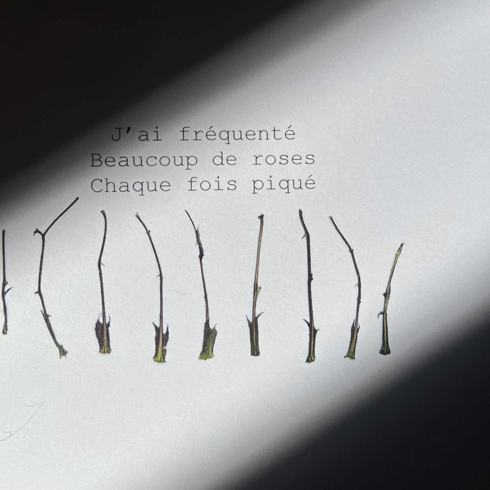 haikus-pique-ateliers-epinette.jpg