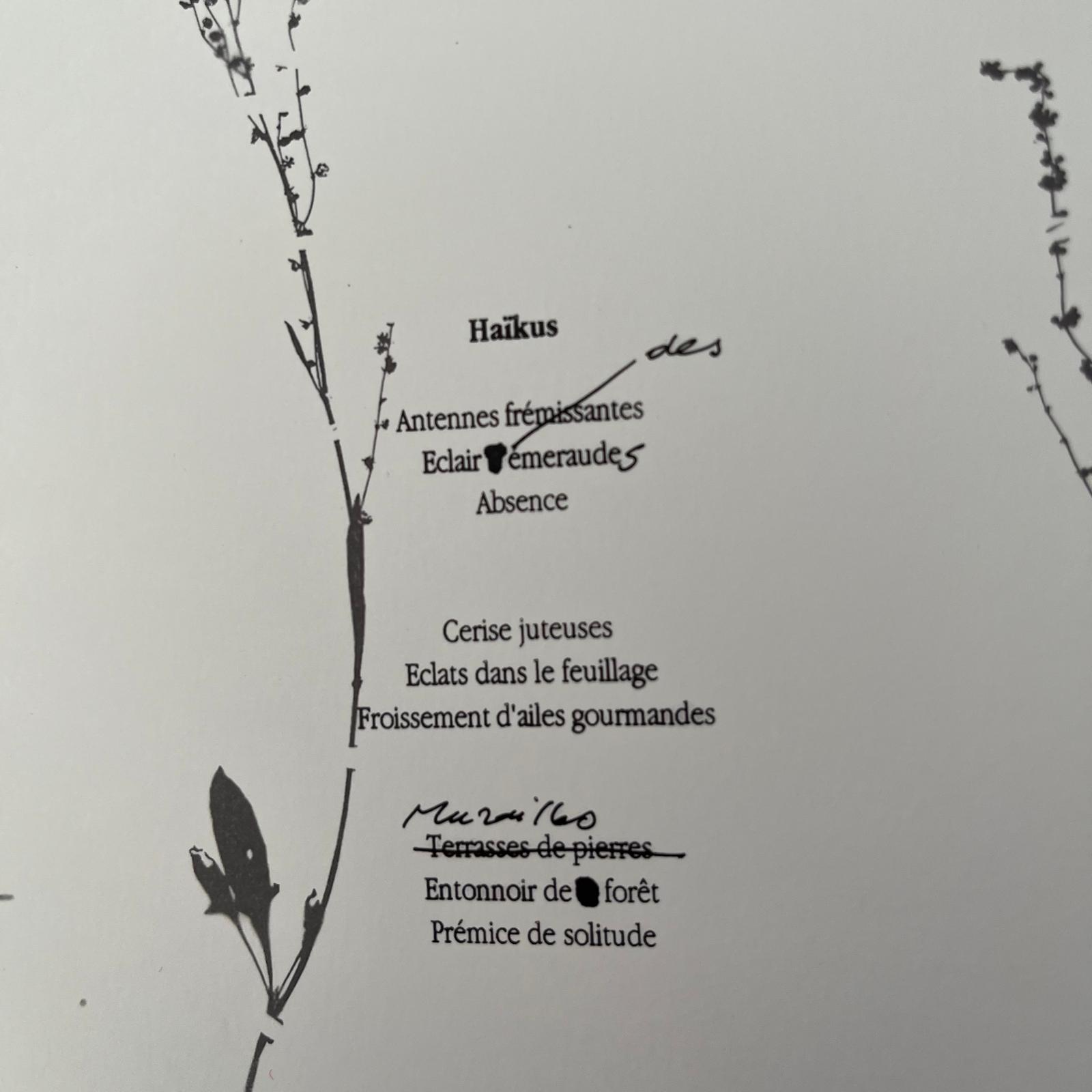 page_texte_image_ateliers_epinette_allevard_belledonne