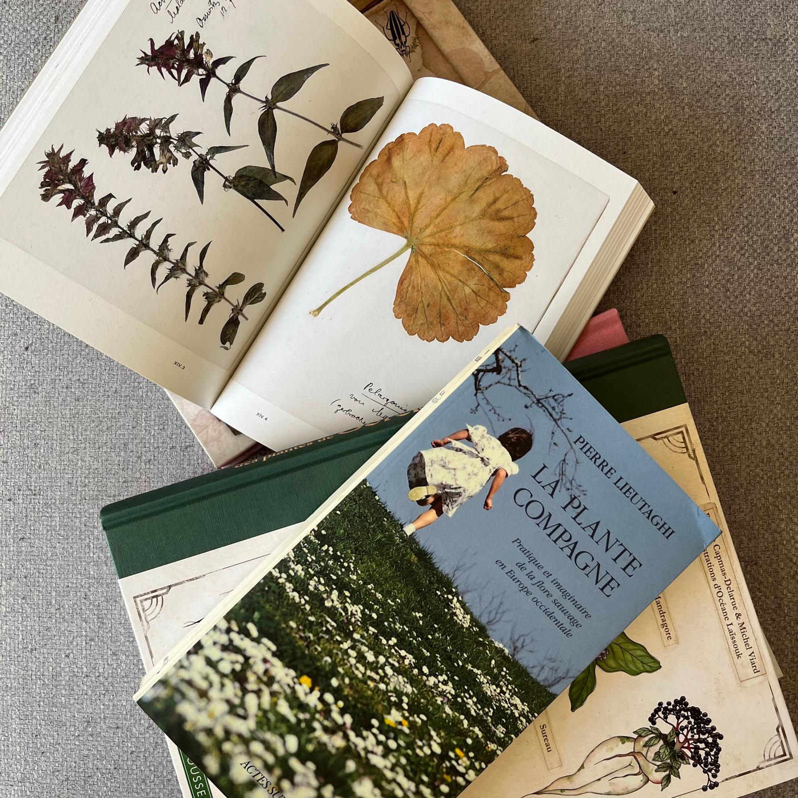 bibliotheque_livres_botanique_ateliers_epinette