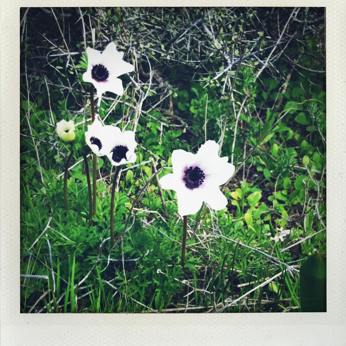 activite_creative_polaroid_ateliers_epinette_allevard