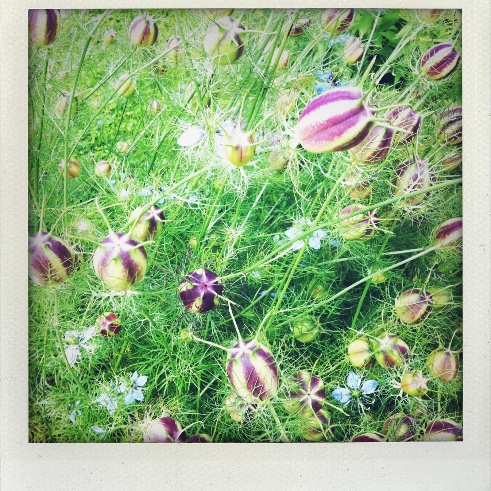 activite_polaroid_texte_image_ateliers_epinette-allevard