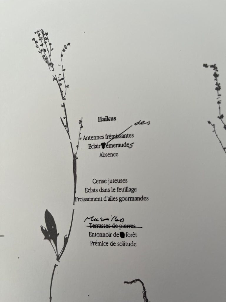ateliers d'écriture - initiation ou cycle