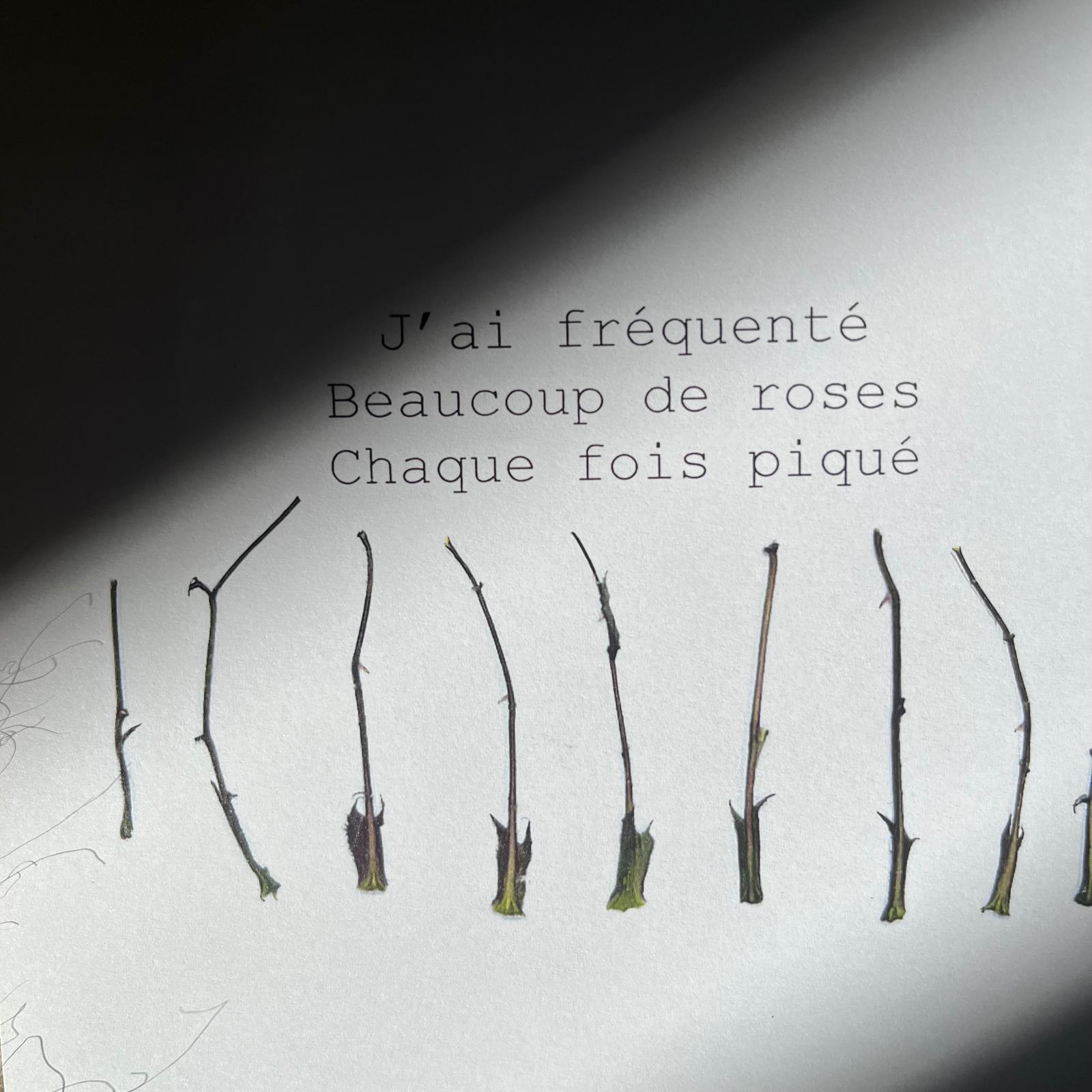 activite_atelier_ecriture_epinette_allevard_gresivaudan