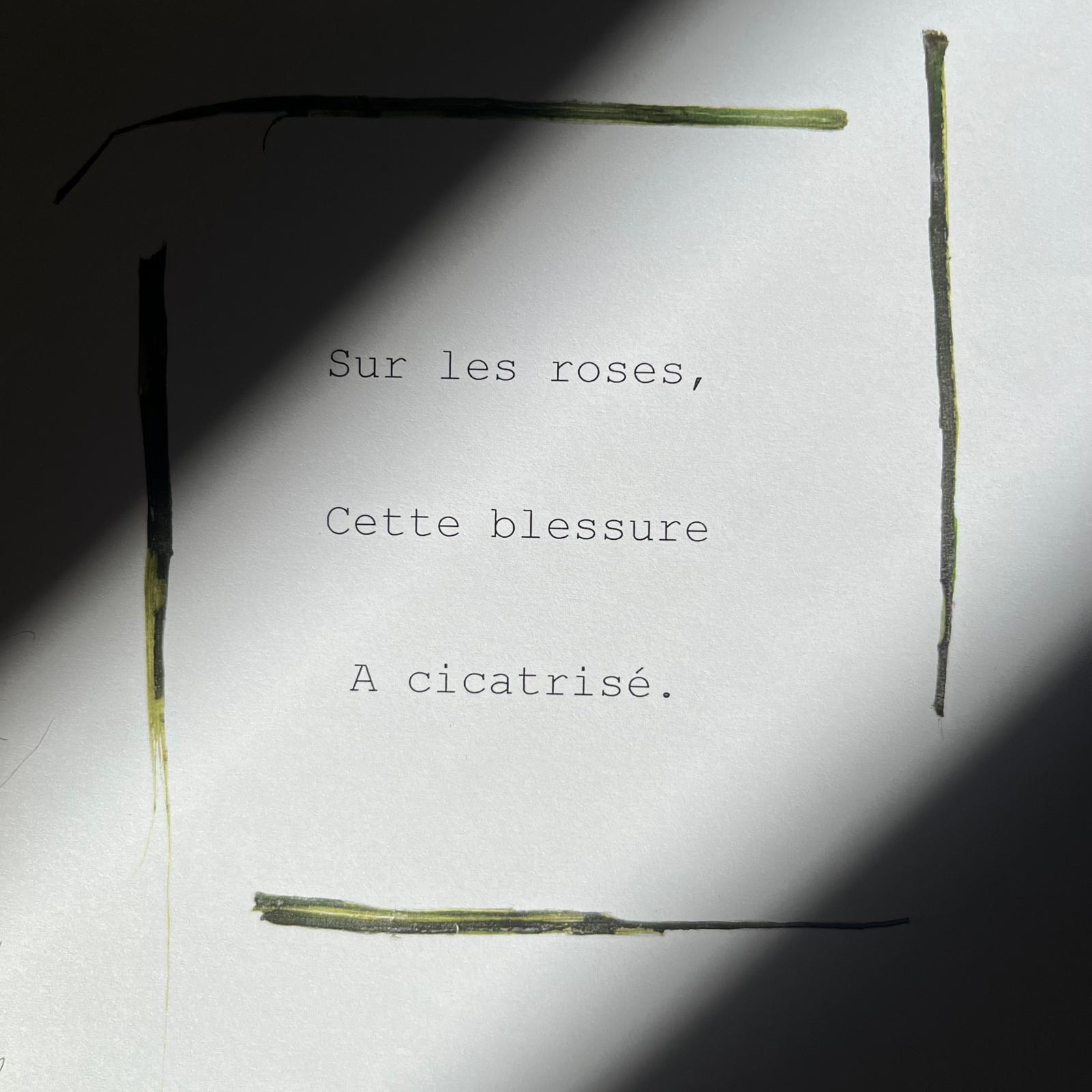 activite_ateliers_ecriture_epinette_allevard
